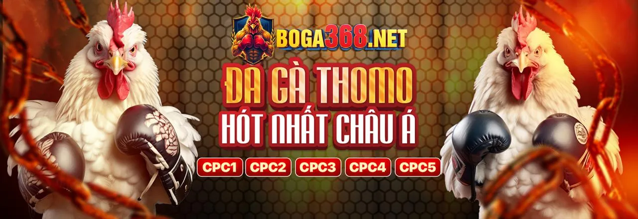 Tài Xỉu B29 Đỉnh Cao