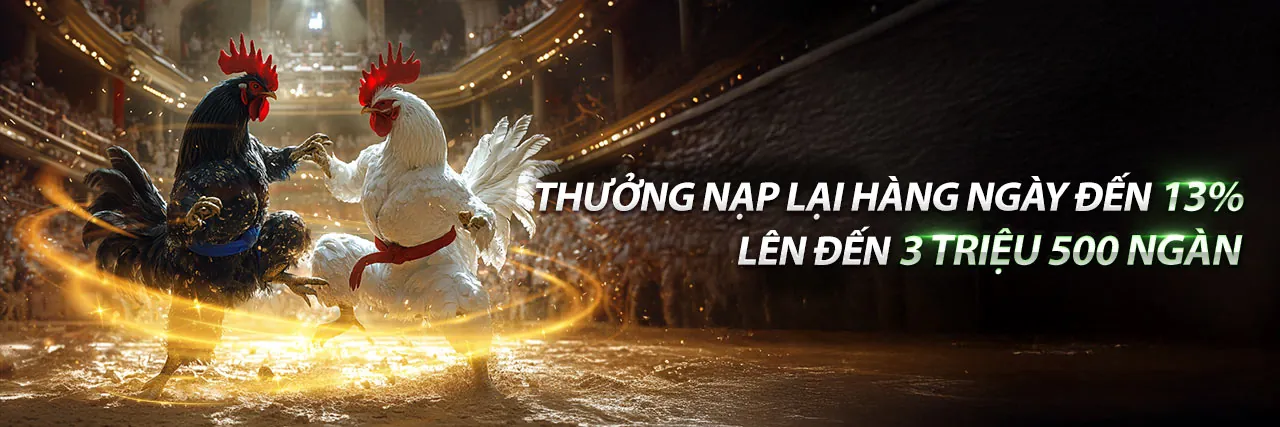 Hình ảnh tổng quan về nền tảng B29